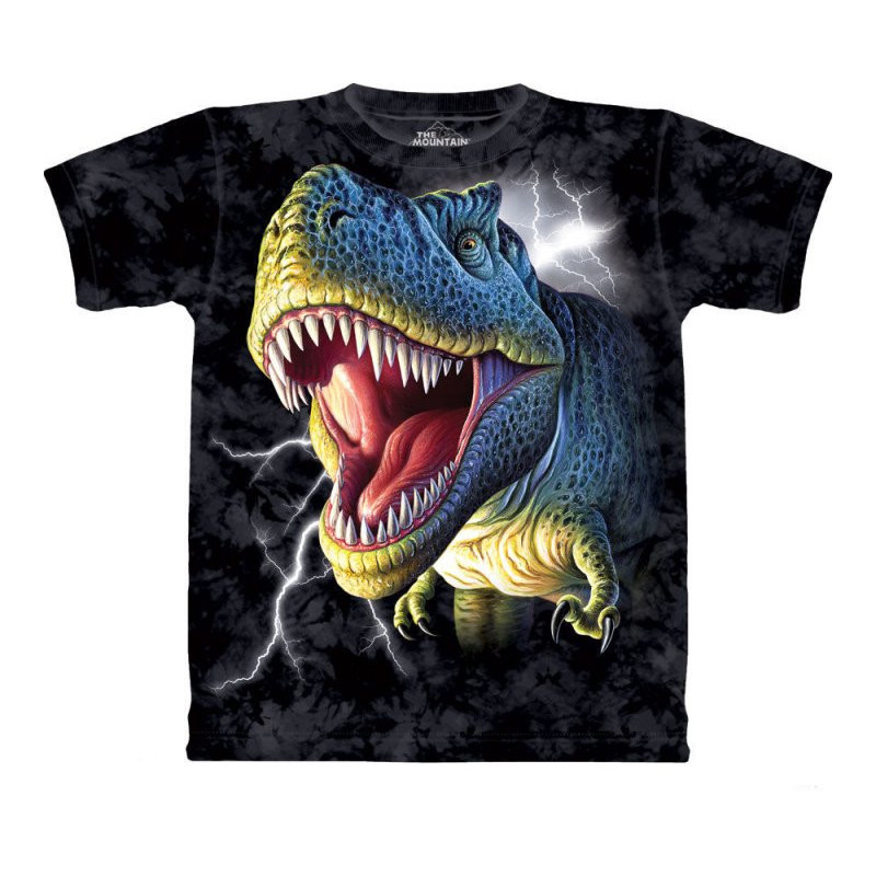Lightning Rex - T-shirt enfant - Dinosaure