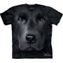 Labrador noir - T-shirt chien - The Mountain