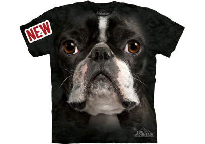 Boston Terrier Face - T-shirt chien - The Mountain