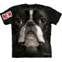 Boston Terrier Face - T-shirt chien - The Mountain