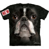 Boston Terrier Face - T-shirt chien - The Mountain