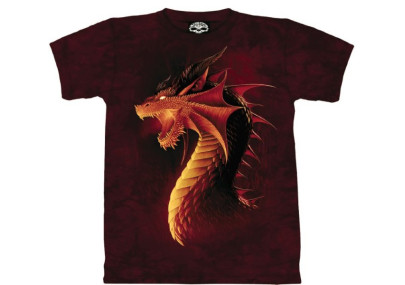 Dragon rouge - T-shirt - Skulbone