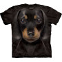 Teckel chiot - T-shirt enfant chien - The Mountain