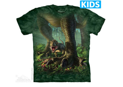 Wee rex - T-shirt enfant dinosaure - The Mountain