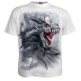 Dragon's cry - T-shirt blanc homme - Manches courtes