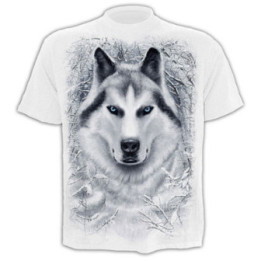 Loup blanc - T-shirt homme - Manches courtes