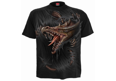 Breaking out - T-shirt dragon - Spiral - Manches courtes