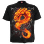 Fire dragon - T-shirt homme dragon - Manches courtes