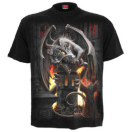 Keeper of the fortress - T-shirt - Spiral - Manches