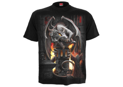 Keeper of the fortress - T-shirt - Spiral - Manches courtes