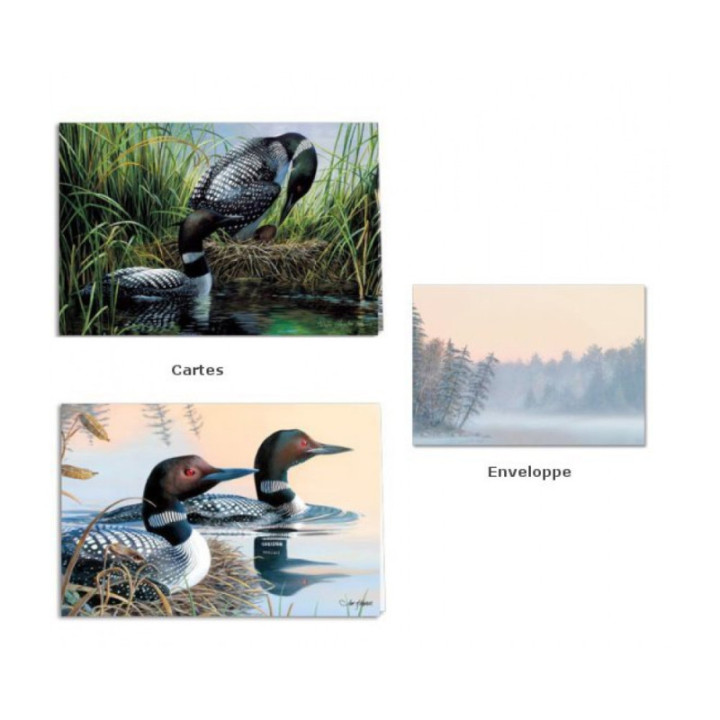 Spring season - Coffret cartes et enveloppe