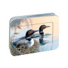 Spring season - Coffret cartes et enveloppe - Canards