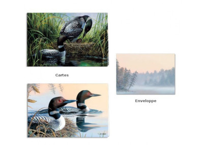 Spring season - Coffret cartes et enveloppe - Canards