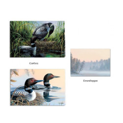 Spring season - Coffret cartes et enveloppe - Canards
