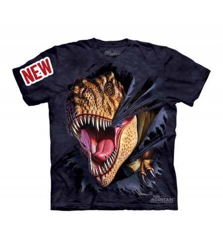 tee shirt dinosaure