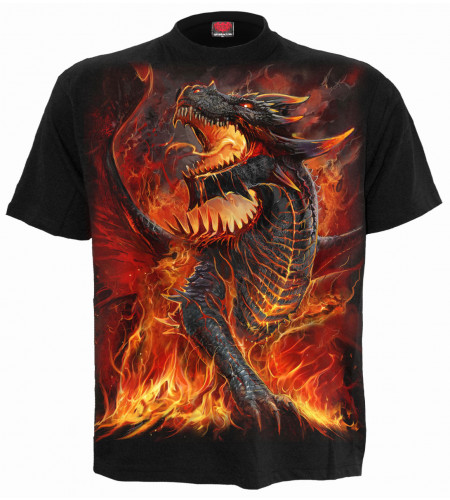 Draconis - T-shirt dragon - Manches courtes - Homme