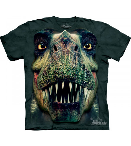 tee shirt homme dinosaure t-rex the mountain