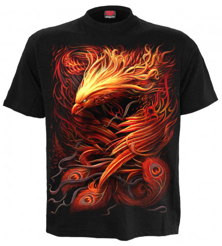 Phoenix arisen - T-shirt fantasy - Spiral