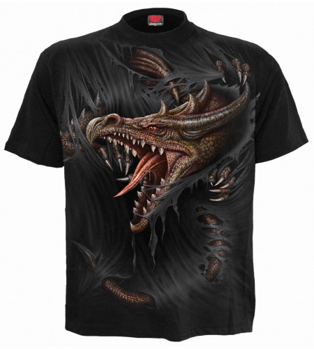 Breaking out - T-shirt dragon - Spiral - Manches courtes