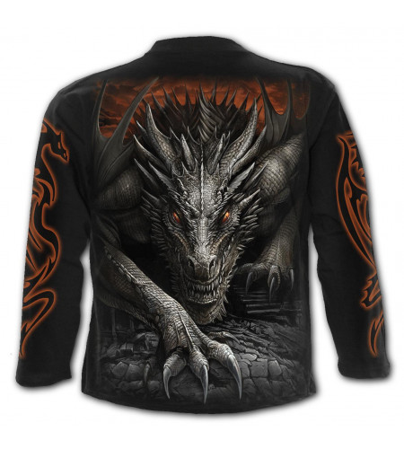 Majestic draco - Tshirt homme dragon - Manches longues - Spiral