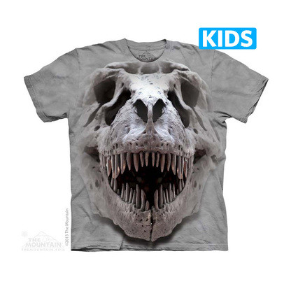 boutique t-shirt the mountain enfant t-rex