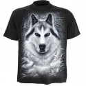 White wolf - T-shirt homme