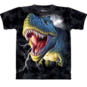 t rex tee shirt dinosaure enfant the mountain