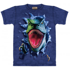 Dinosaure rex T-shirt enfant - The Mountain