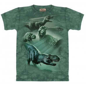 Dinosaures -nT-shirt enfant - The Mountain