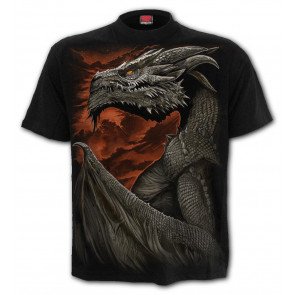 Majestic draco - T-shirt dragon - Spiral - Manches courtes