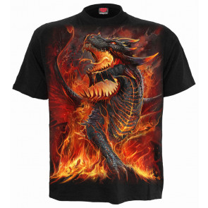 Draconis - T-shirt dragon - Manches courtes - Homme