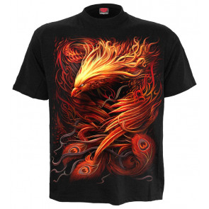 Phoenix arisen - T-shirt fantasy - Spiral