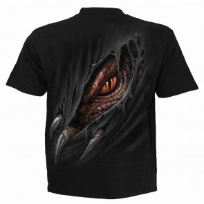Breaking out - T-shirt dragon - Spiral - Manches courtes