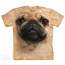 tee shirt the mountain adulte carlin chien de race boutique magasin