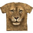 tshirt enfant animaux lion