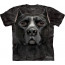 t-shirt chien de race big face