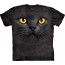 t-shirt homme motif tete de chat the mountain - Big face black cat